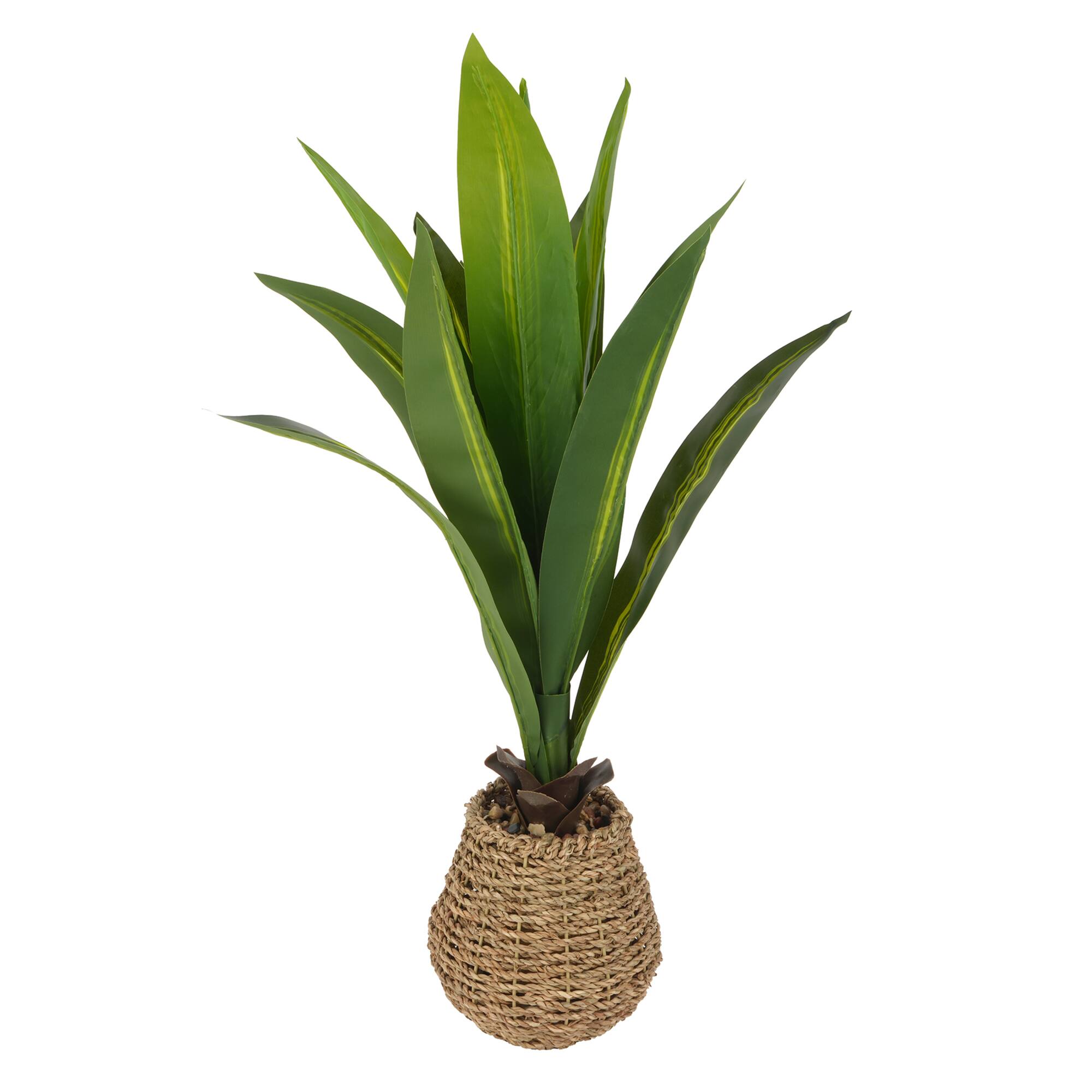 24" Tabletop Dracaena Plant in Woven Seagrass Pot by Ashland®